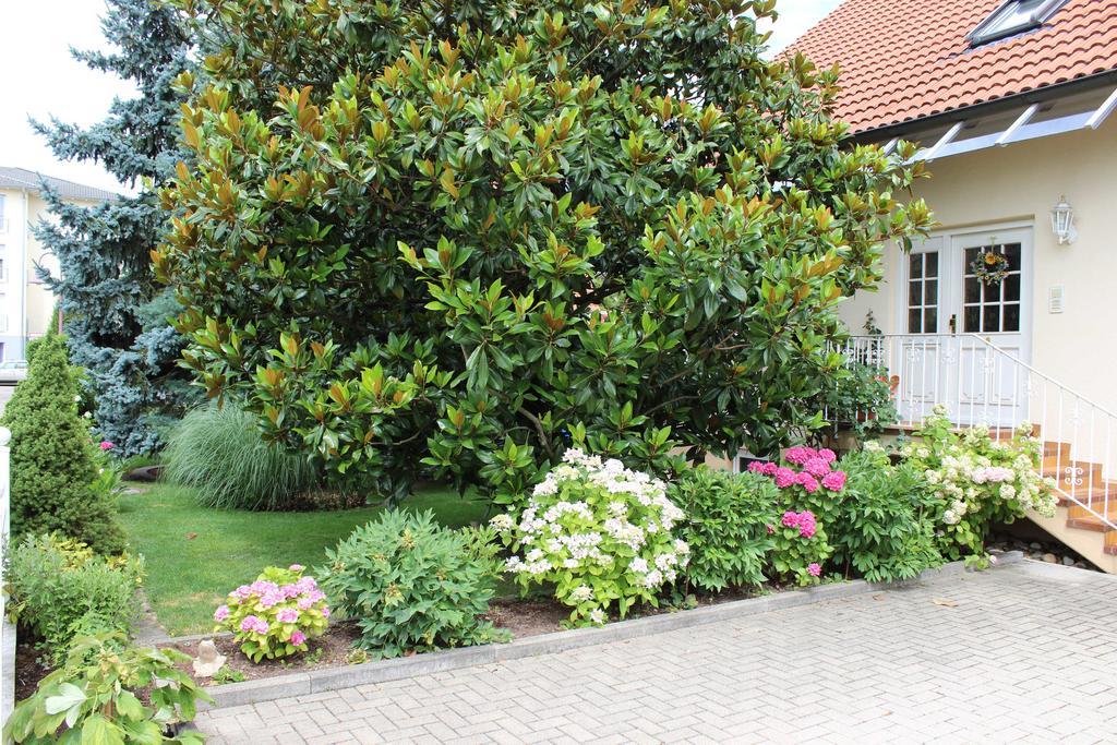 Ferienwohnung Fleck Rust Luaran gambar